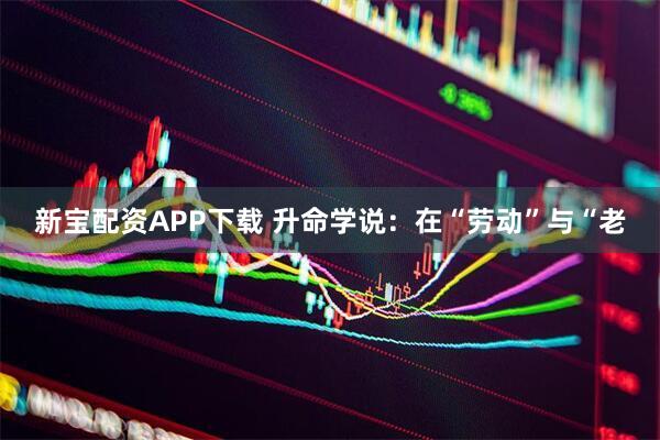 新宝配资APP下载 升命学说：在“劳动”与“老